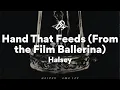 Download Lagu Halsey, Hand That Feeds (Lyrics)