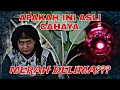 Download Lagu CAHAYA TERBANG- APAKAH INI ASLI MERAH DELIMA⁉️⁉️