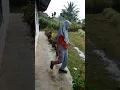 Download Lagu (Joging) Iis Dahlia Matkul PJOK Tugas pertama