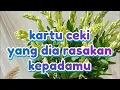 Download Lagu Kartu ceki🍒 yang dia rasakan kepadamu