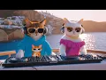 Download Lagu Sunset Yacht Party in Santorini 🌅🎶 | Progressive House Live Set the Coolest Cat Couple