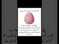 Download Lagu surah|yasin|rahman|yaseen|rehman|online quran|tilawat|juma|naat|ishq|status