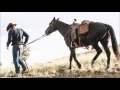 Longmire - Robert Taylor