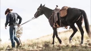 Longmire - Robert Taylor