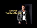 Amr Diab Maak heart translated to English