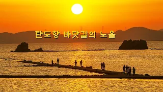 탄도항 최근 차박현황  탄도항 바닷길 탄도항 노을 #탄도항 #탄도항차박 #탄도항노을 #탄도항캠핑카여행 썸네일