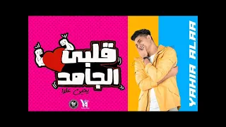 يحيى علاء قلبي الجامد دندنها