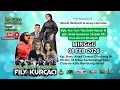 Lagu LIVE STREAMING ACARA WEDDING WINDI WIDIARTI \u0026  ACEP HAMDANI  #FILY KURCACI # INA SALSA