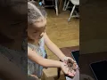 The Jungle Hut - kids hold a tarantula and python and feed a giant tortoise and African bullfrog