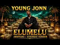 Young Jonn – Elumelu (Amapiano / Afrobeat Version)