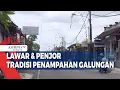 Download Lagu Lawar \u0026 Penjor, Tradisi Penampahan Galungan
