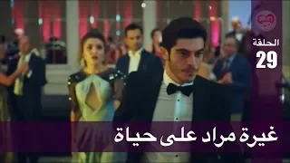 الحب لا يفهم الكلام الحلقة 29 غيرة مراد على حياة 