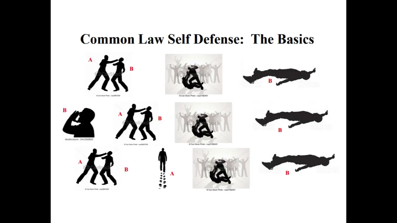 Dressler Criminal Law Self Defense Lecture