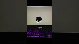How to make Dog Dog by Python turtle Graphics