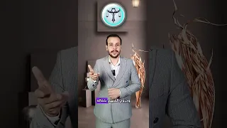 خروج المتهم بكفالة شخص قبل الحكم عليهه كفالة المتهم 