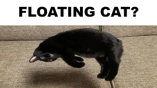 Optical Illusions