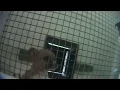 Julie Scholl s USDA Licensed Puppy Mill in Cameron Oklahoma Oklahoma Dog Breeder