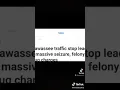 News Journalism - Robin H Webb
