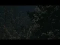 Afta 1-Rhode lines (Extended)