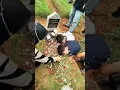 Download Lagu HALO MAMA ..ASSALAMUALAIKUM MAMA ..ANAK2 YANG TELAH DITINGGAL IBUNYA BEGITU POLOS NYA ..