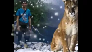 pai lo em tang kia hokien song