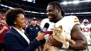 Why Are Pro Athletes Suddenly Obsessed with Orange Siamese Cats