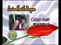 Download Lagu Lagu Karo - Cakap Male - Erwina Hani Br Bangun