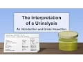 Interpretation of the Urinalysis Part 1 - Introduction and Inspection