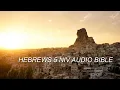 HEBREWS 5 NIV BIBLE with text