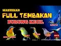 Download Lagu 2 jam masteran BURCIL full tembakan ampuh cocok buat pemasteran burung lomba