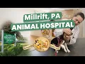 Animal Hospital Millrift PA