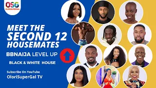 bbnaija 2022 meet the second 12 housemates bbnaija season 7 level up olorisupergal
