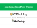 WordPress Beginner Tutorial Introducing WordPress Themes