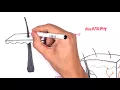 Introduction to Skin Anatomy and Physiology