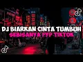 Download Lagu DJ BIARKAN CINTA TUMBUH SEBISANYA || DJ KARENA SU SAYANG JEDAG JEDUG MENGKANE VIRAL TIKTOK