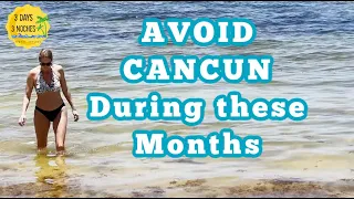 Avoid Cancun During these Months Cancun Mexico Cancun Beaches