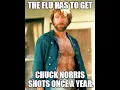 Chuck Norris API