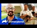 Animal Program Saves Hundreds Of Lives In This Prison My Cat From Hell
