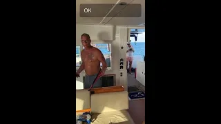 Catamaran Sailing At Its Best! #shorts