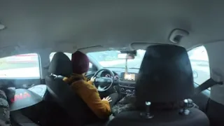                            دندنها
