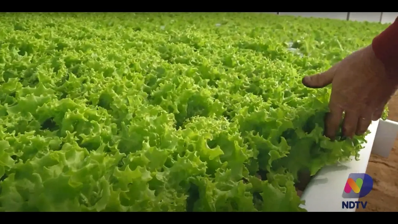 Agro - Saúde e Cooperação: conheça o novo projeto do Grupo ND