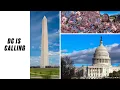 University of Maryland - Application process and your questions answered
