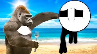 ChainsFR Videos To Watch In Summer