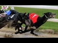 Watch the Incredible Race That Left Everyone Stunned