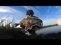 I WAS CATCHING REDFISH EVERY CAST Low Tide Fishing Sister s Creek