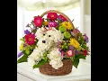 Ziegfield Florist Gifts 14 E Main St Maple Shade Township NJ 08052 856 667-2101