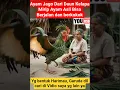 Download Lagu Ayam Jantan Dari Daun Kelapa bisa jalan