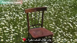 اينسى القلب انسانا له في روحه مسری احمدالنفيس و بدر النفيس 