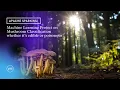 Free Apache Spark Machine Learning Project Mushroom Classification Edible vs Poisonous