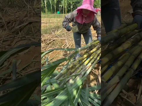 Cutting work help to relieve stress